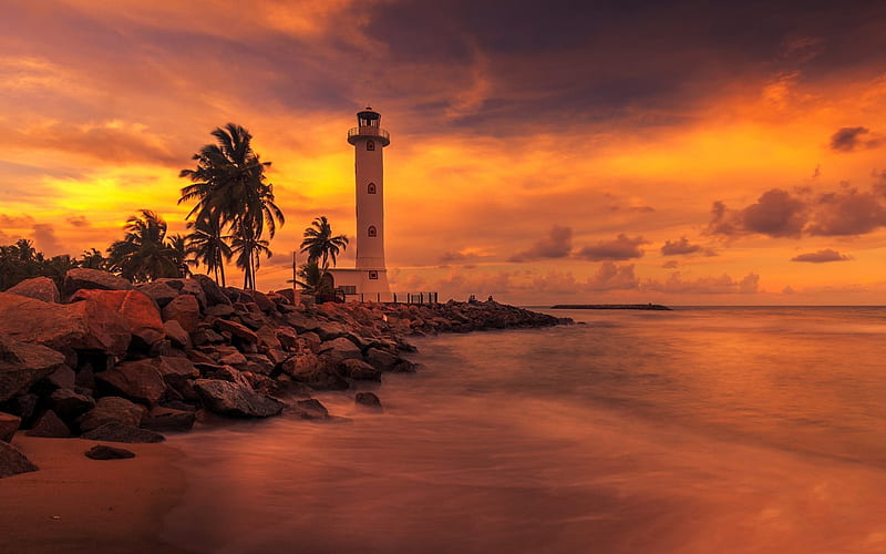 Lighthouse, palm trees, sunset, evening, beach, ocean, Sri Lanka, HD wallpaper