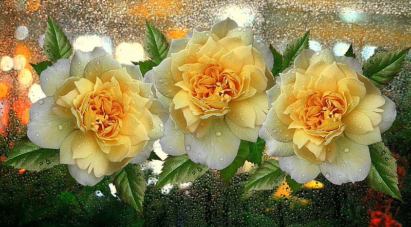 ✿, flowers, yellow, roses, composition, HD wallpaper