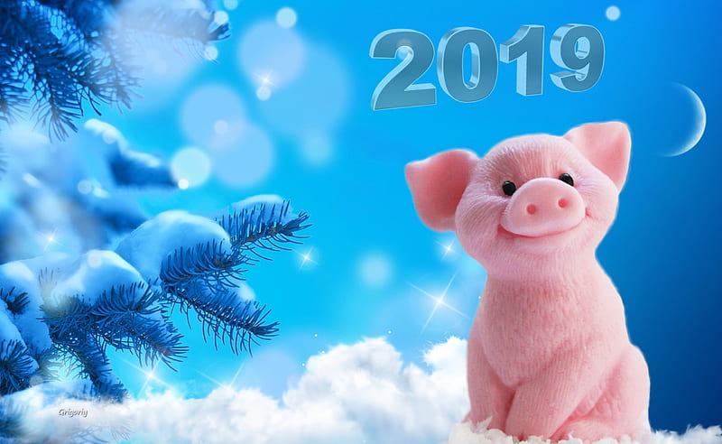 Happy New Year!, 2019, chinese zodiac, snow, year of the pig, new year, pink, card, blue, porc, HD wallpaper