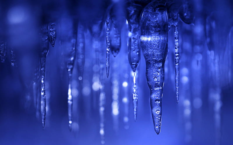 icicles, winter, blue light, ice, HD wallpaper