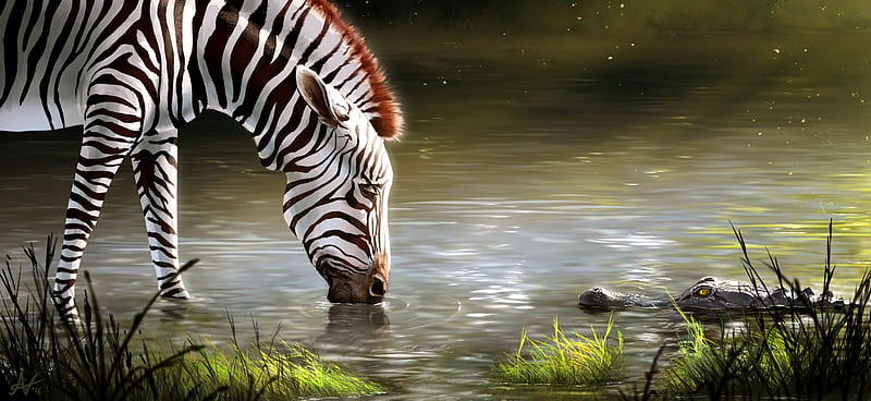 zebra, lake, art, animal, wildlife, HD wallpaper