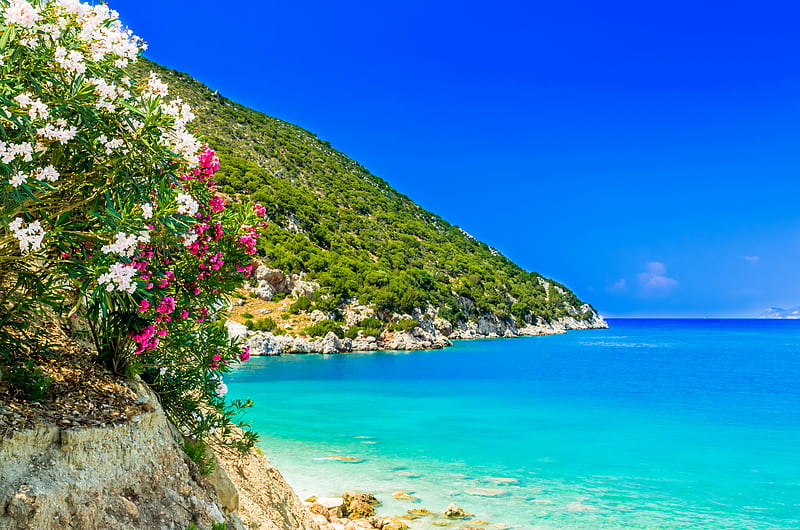 Kefalonia island, beach, Greece, paradise, flower, summer, island, sky, sea, HD wallpaper