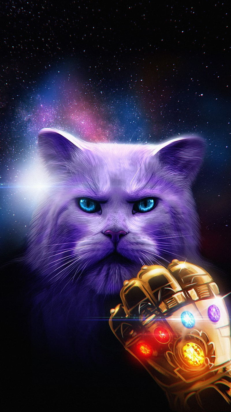 Thanos, marvel, avengers, movie, cat, golden hand, animal, HD phone  wallpaper | Peakpx