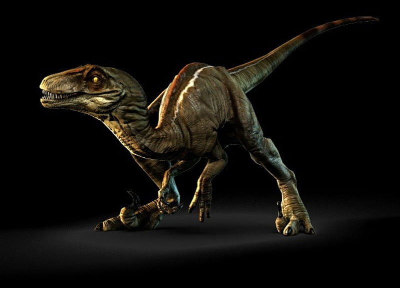 Velociraptor, p, v, o, a, l, i, c, e, t, r, HD wallpaper