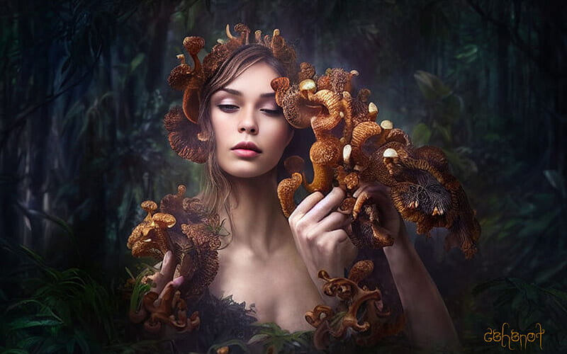 Lady Amanita, face, girl, mushroom, frumusete, by cehenot, art, gorgeous, cehenot, superb, brown, fantasy, forest, HD wallpaper