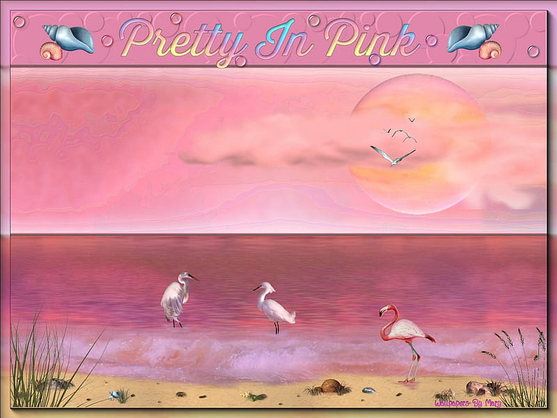Pretty In Pink 1600x1200, Water, Terns, Pink, Seabirds, Oceans, Flamingos, Sunsets, Birds, HD wallpaper