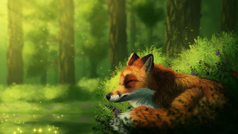 fox, sleep, art, wildlife, animal, HD wallpaper