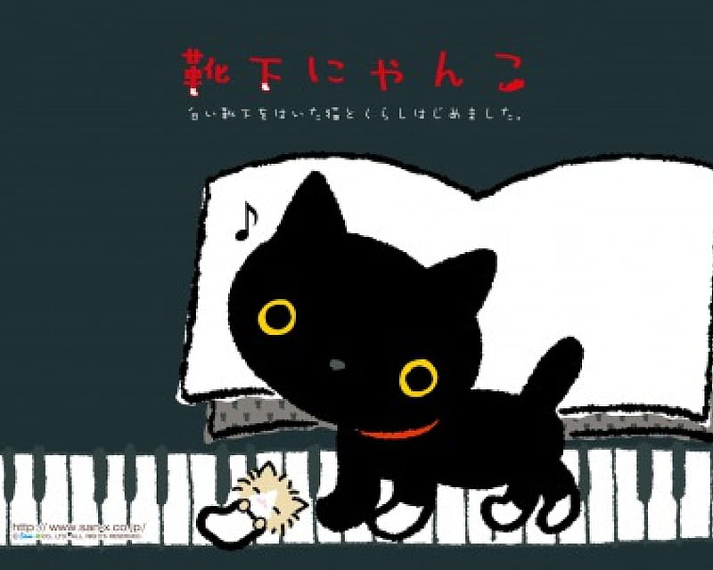 Kutusito Nyanko, Cute, Neko, Black, Kutusito, San-X, cat, Nyanko, Kawaii, HD wallpaper