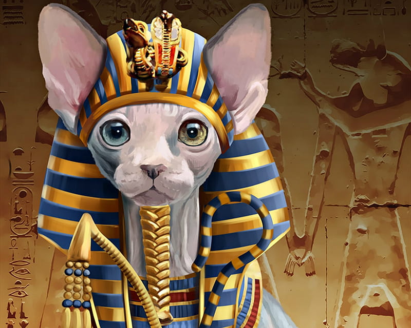 Pharaoh, art, lorri kajenna, luminos, yellow, cat, animal, pisica, egypt, blue, HD wallpaper