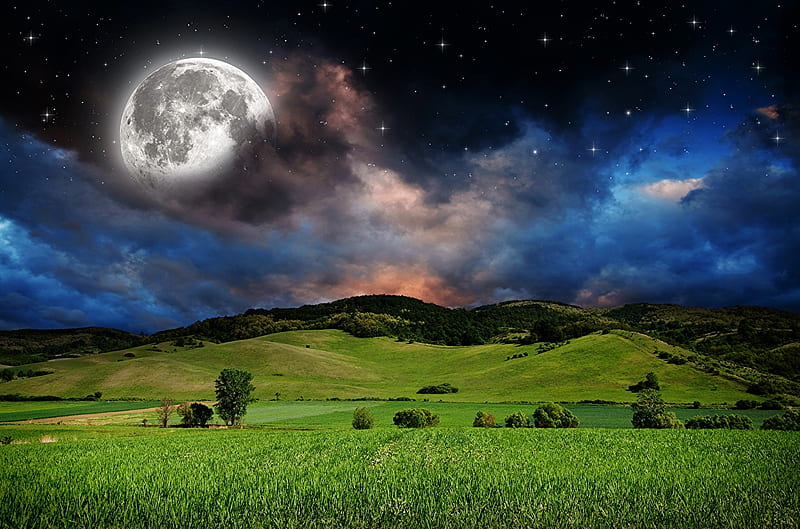 Superlude in the field, grass, space, clouds, magic nights, nice, scenario, mounts, super, moons, black, abstract, trees, cool, awesome, white, landscape, spacescape, scenic, renderized, panoramic view, bonito, CG, green, fields, scenery, pink, blue, stars, amazing, view, colors, superlude, supermoon, ew, 3d, universe, nights, plants, nature, scene, HD wallpaper