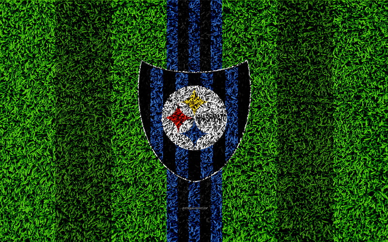 CD Huachipato logo, grass texture, Chilean football club, football lawn, blue black lines, emblem, Talcahuano, Chile, Chilean Primera Division, football, HD wallpaper