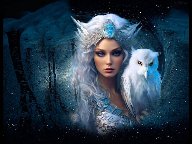 Fantasy Queen And Pet Owl 1, blue, colorful, night, white, black, vibrant, girl, owl, dress, crown, vivid, fantasy, bright, bold, forest, queen, HD wallpaper