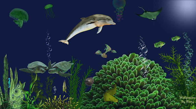 Under The Surface 1920x1080, Water, Fish, Dolphins, Turtles, Underwater, Animals, Undersea, MarineLife, HD wallpaper