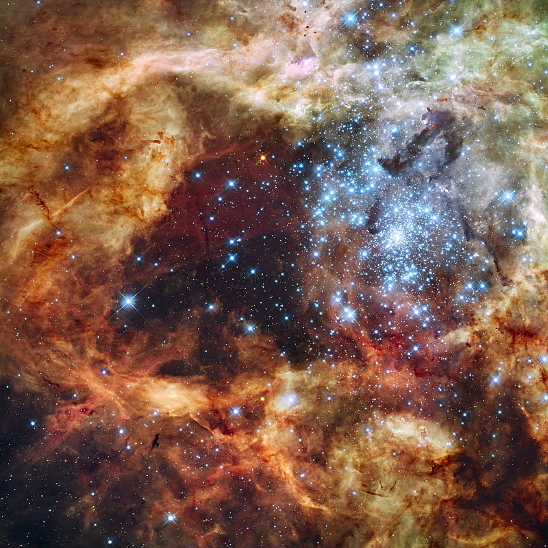 Grand Star-Forming Region Large Magellanic Cloud, stars, hubble, space, HD wallpaper