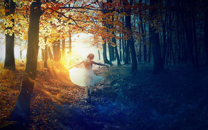 Spreading Light, happy, forest, sun, autumn, girl, dance, sky, trees, HD wallpaper