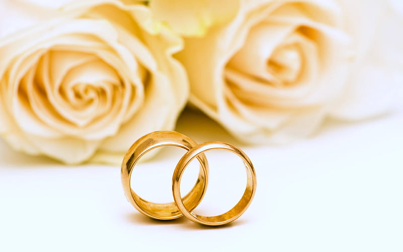 Gold Wedding Rings Of Bride And Groom On Gold Gliter Background Stock  Photo Picture And Royalty Free Image Image 124613309