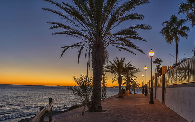 Promenade in Alicante, Spain, Spain, sea, palms, promenade, lanterns, HD wallpaper