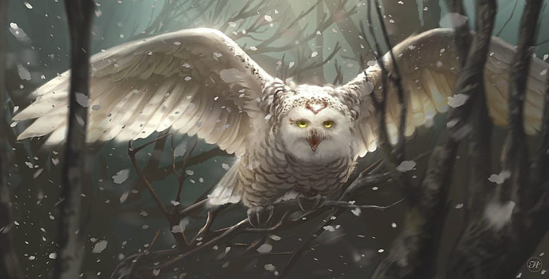 Winter hunting, fantasy, snow owl, bufnita, white, hunter, winter, iarna, aramisdream, wings, luminos, HD wallpaper