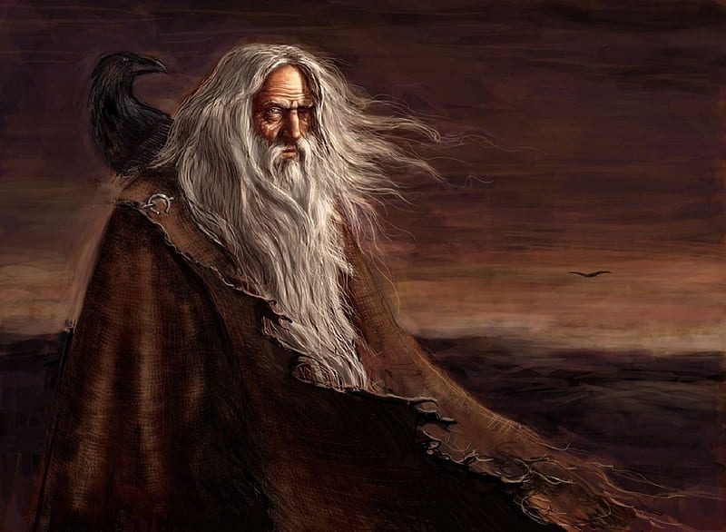 Odin And His Ravens, Odin, Muninn, Huginn, allfather, HD wallpaper