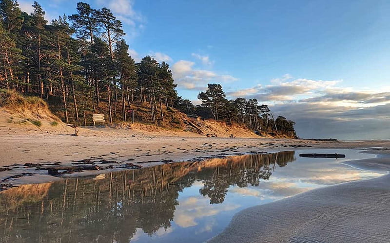 Beach in Latvia, forest, beach, Latvia, coast, reflection, HD wallpaper