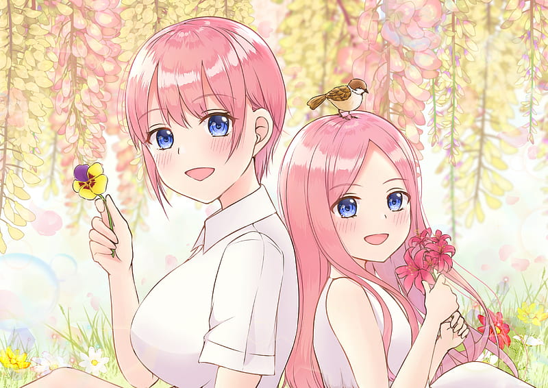 5-toubun no hanayome nakano ichika, pink hair, summer, Anime, HD wallpaper