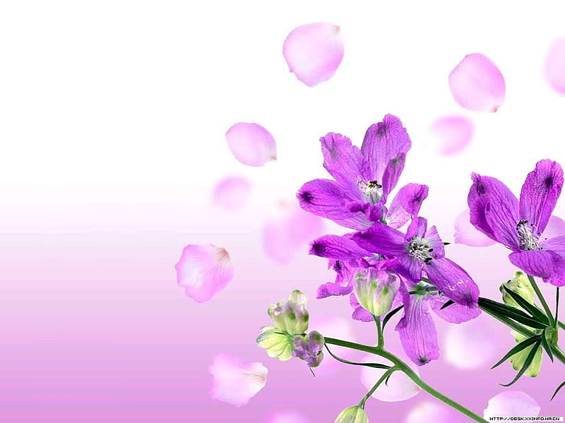 Download free image of Purple floral background, flower graphic by ton  about purp…