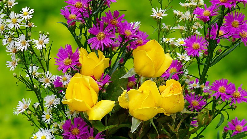 Pretty bouquet, pretty, colorful, yellow, bonito, fragrance, nice, lovely, fresh, scent, spring, roses, freshness, daisies, bouquet, summer, violet, nature, field, HD wallpaper