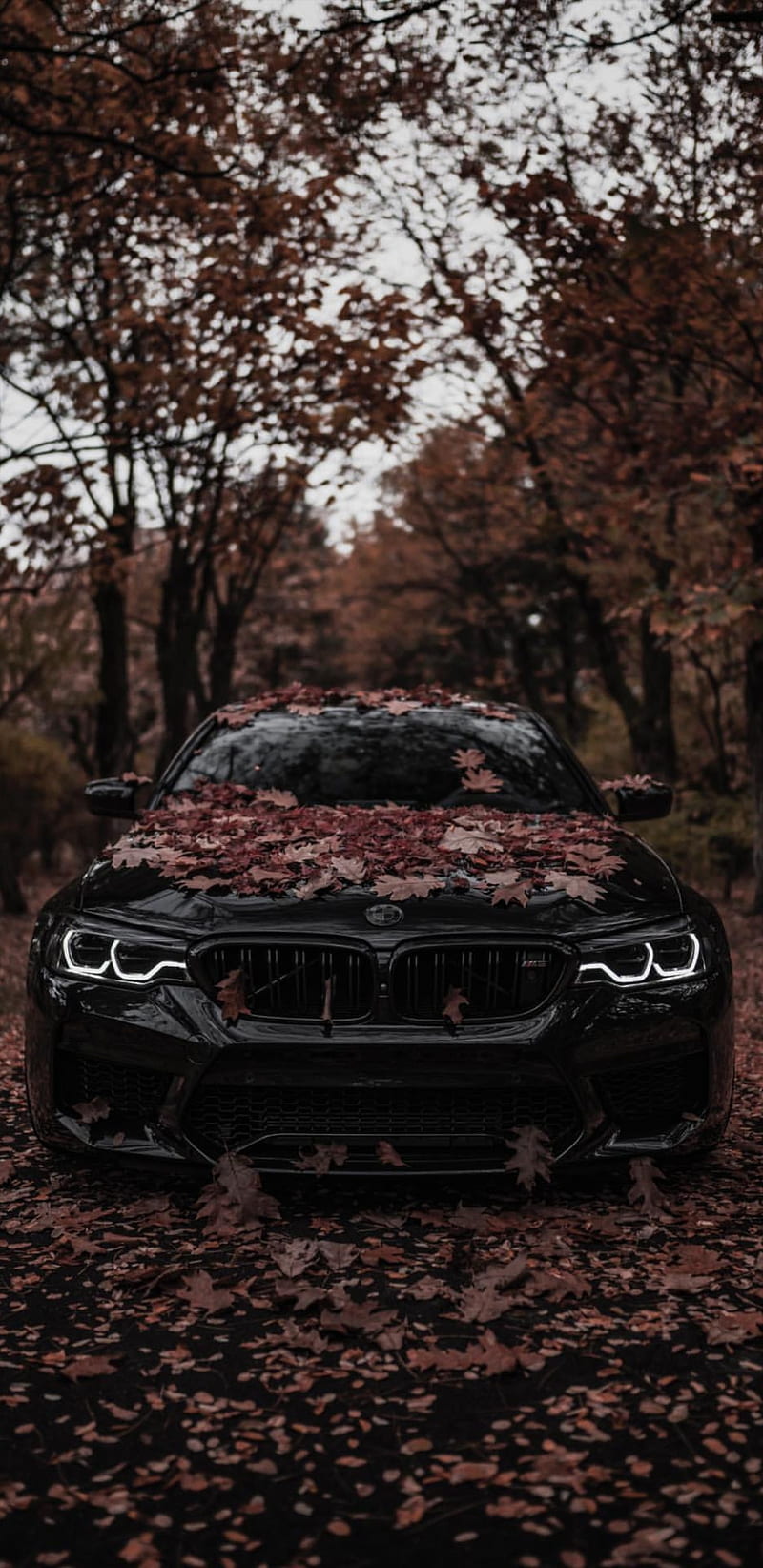 BMW, black beast, HD phone wallpaper