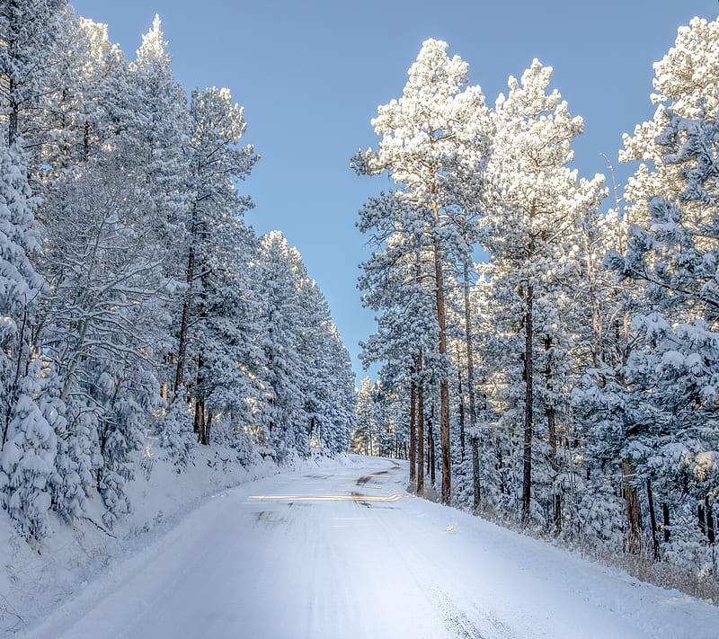 Winter, path, road, season, snow, tree, HD wallpaper