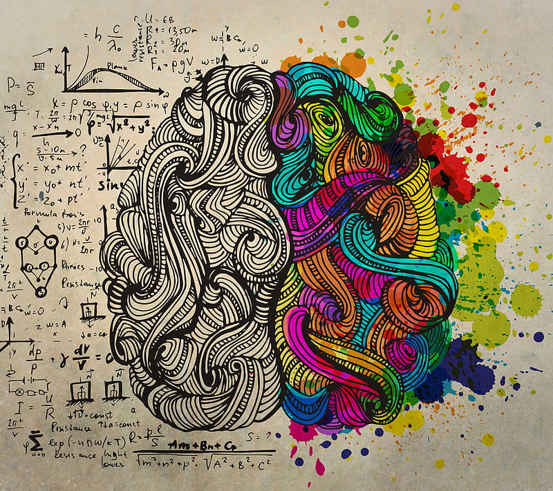 Left Right Brain, creative, science, HD wallpaper | Peakpx