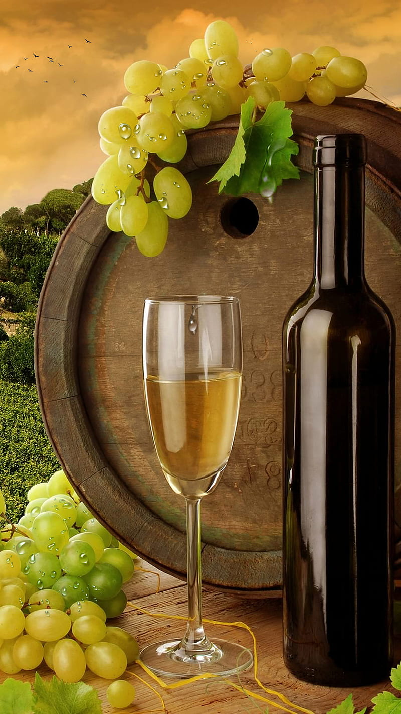 white wine, barrel, bottle, field, grapes, HD phone wallpaper