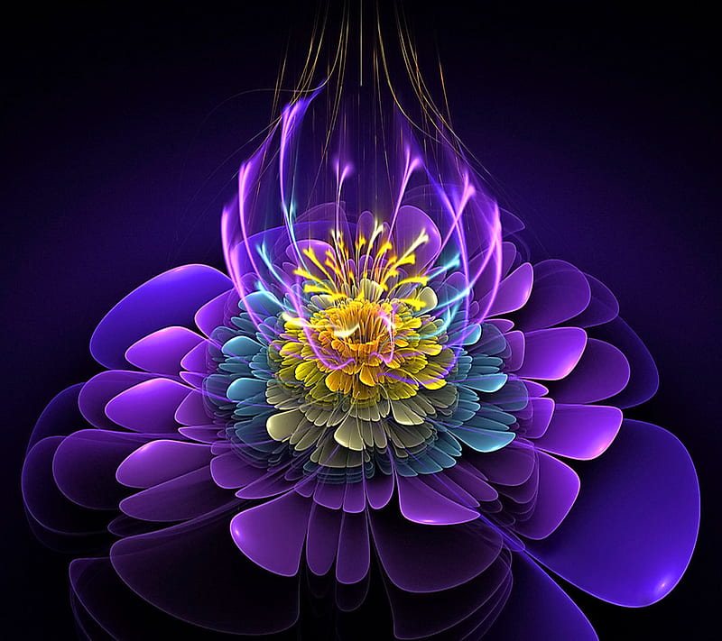 Blooming Essence, abstract, bloom, flower, purple, HD wallpaper