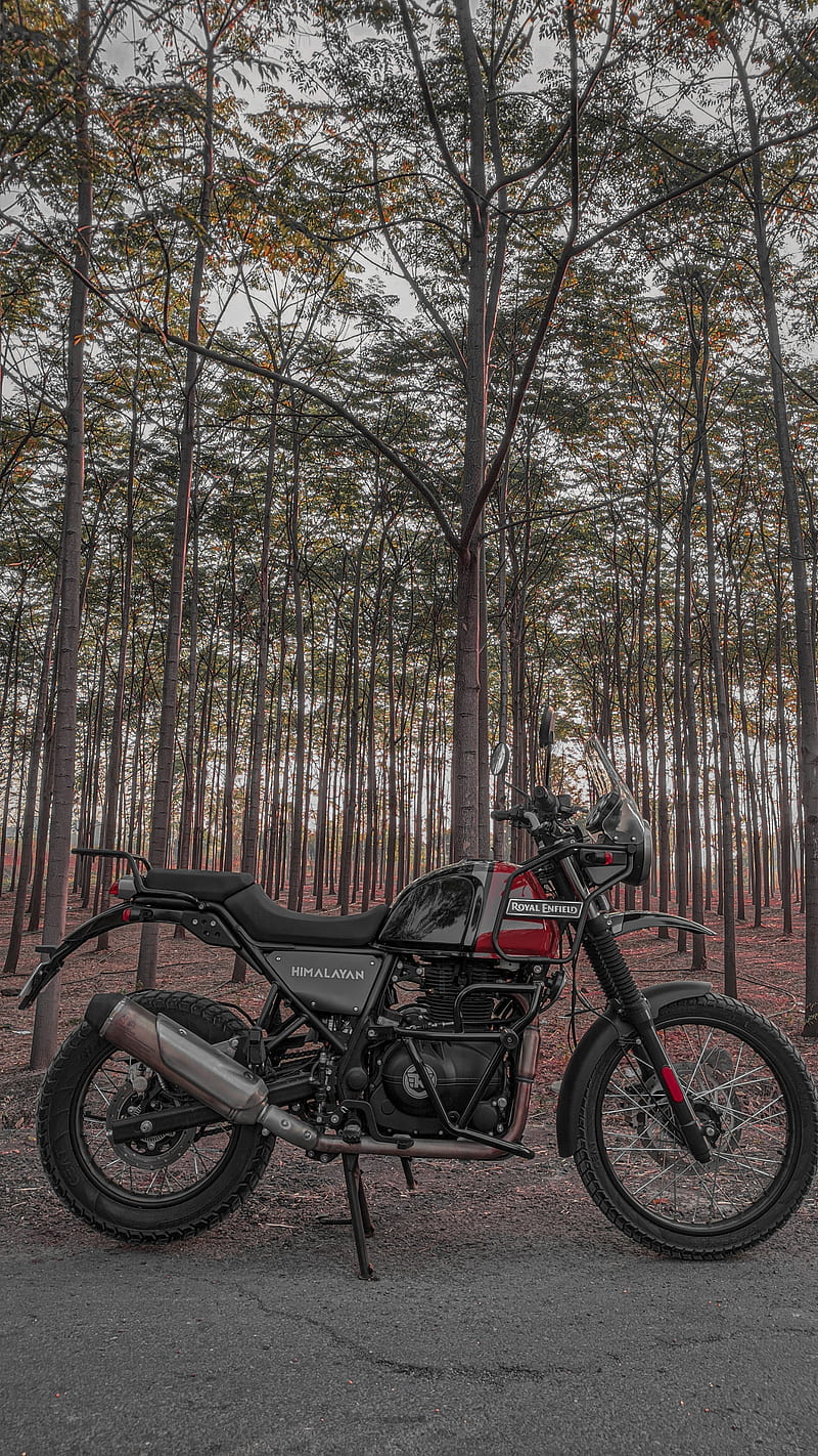 HIMALAYAN, bike, motorcycle, royal enfield, HD phone wallpaper