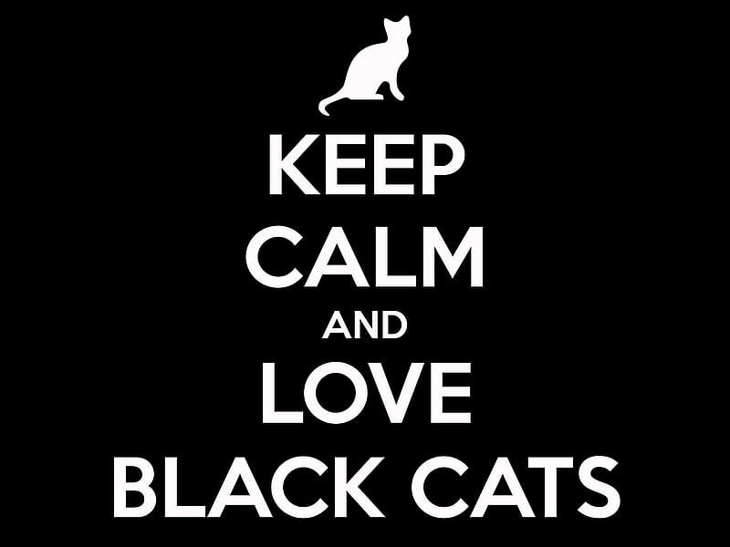 Manten La Calma Negro Gato Pisici Blanco Gatos Negros Tarjeta Palabra Fondo De Pantalla Hd Peakpx