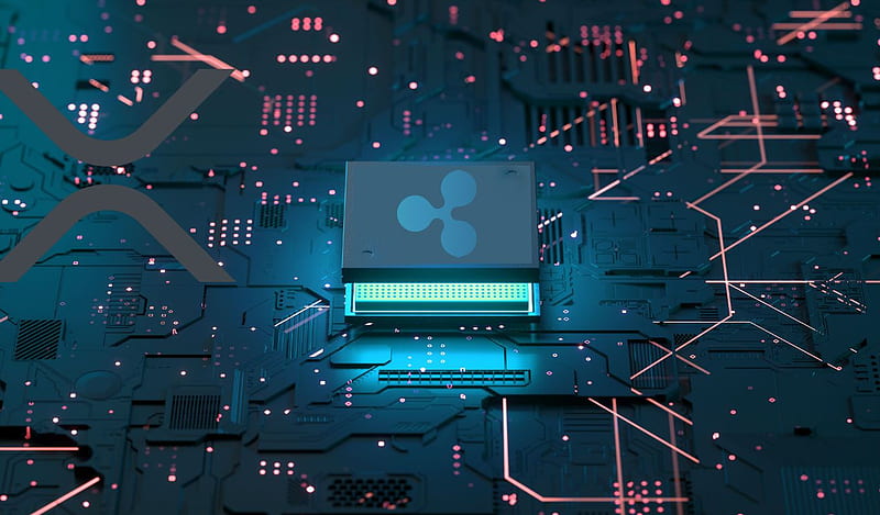 Report Reveals How Ripple Will Defend Itself and XRP Against the U.S. Securities and Exchange Commission - The Daily Hodl, HD wallpaper