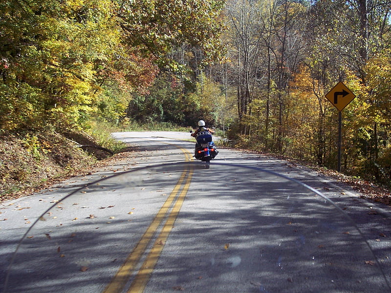Riding the hills of TN., hills, motor cycle, h-d, ride, HD wallpaper