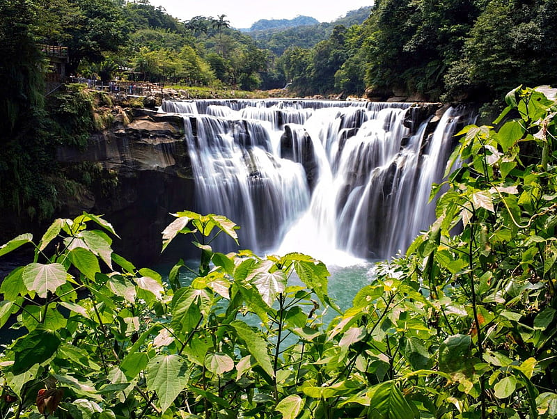 Shifen Waterfall, Taiwan, Trees, Waterfall, China, Nature, HD wallpaper