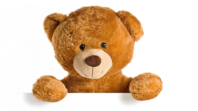 Man Made, Stuffed Animal, Cute, Teddy Bear, HD wallpaper