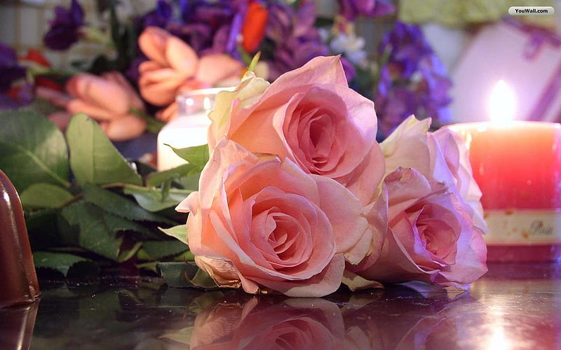 bonito, flower, candle light, roses, rose, HD wallpaper