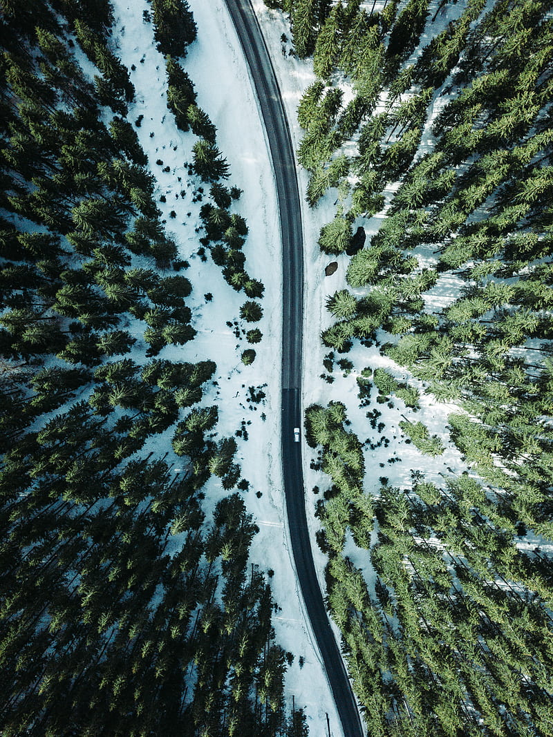 road, forest, snow, trees, aerial view, HD phone wallpaper