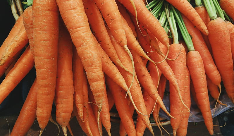 closeup of bunch of orange carrots, HD wallpaper