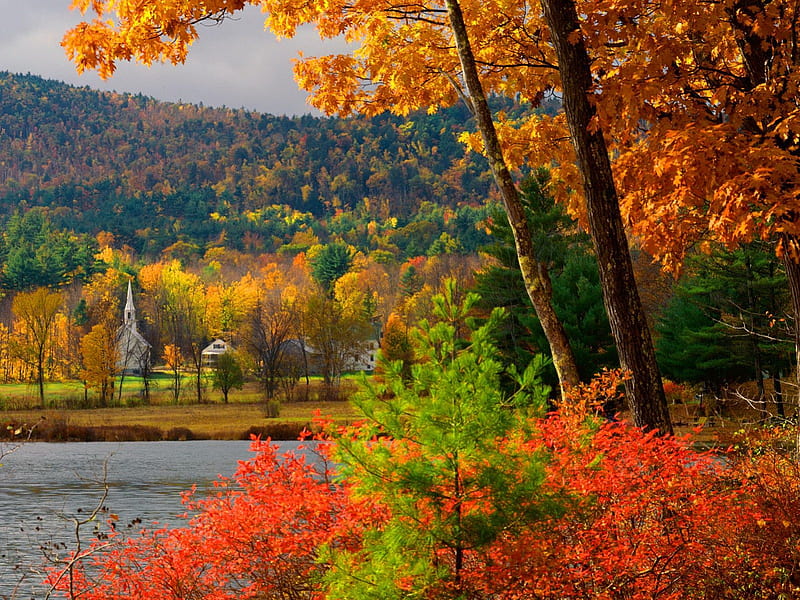 Autumn in New Hampshire, fall, colorful, autumn, shore, foliage, countryside, village, season, river, New Hampshire, hills, golden, trees, lake, water, flaling, nature, branches, HD wallpaper