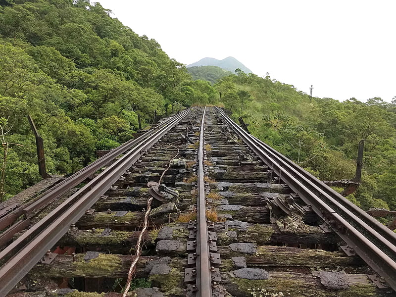 brown wooden train rail near green trees during daytime, HD wallpaper
