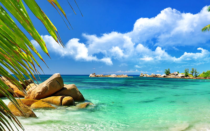 Aruba, Aruba Beach HD wallpaper | Pxfuel