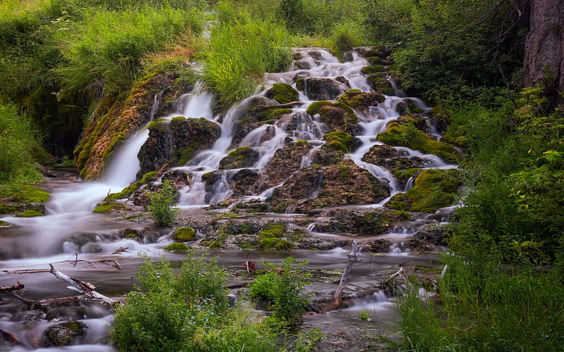 Roughlock Falls in South Dakota, river, plants, rocks, usa, HD wallpaper