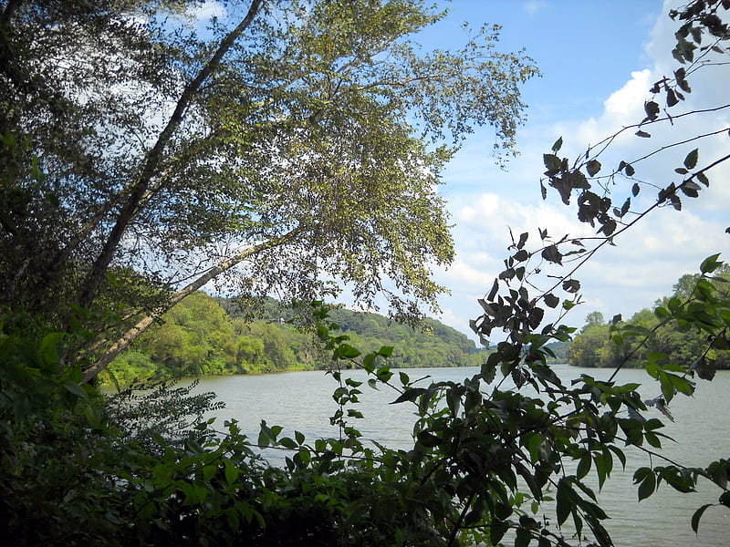 Georgia River, parks, nature, river, georgia, HD wallpaper