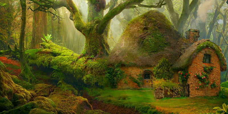 Enchanted Place, forest, tree, nature, house, HD wallpaper