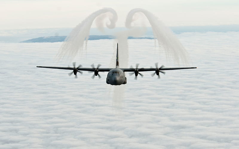 Lockheed C-130 Hercules, military transport aircraft, American Air Force, C-130 Hercules, Lockheed, NATO, HD wallpaper