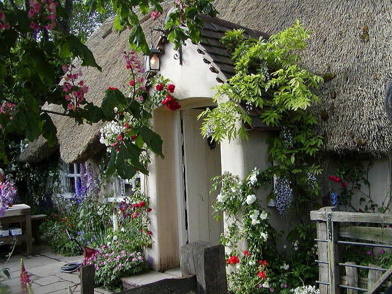 cottage doorway, windows, doorway, flowers, cottage, HD wallpaper