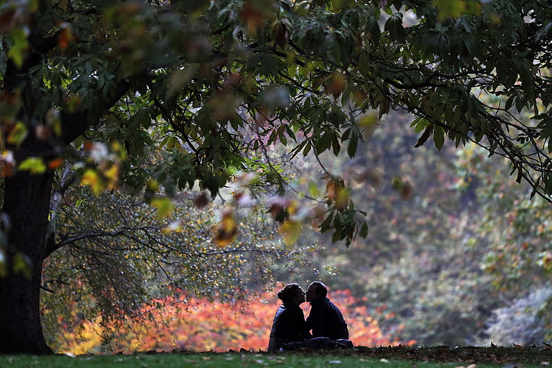 A couple kiss beneath a tree in London, Couple, London, Kiss, Tree, St James Park, HD wallpaper